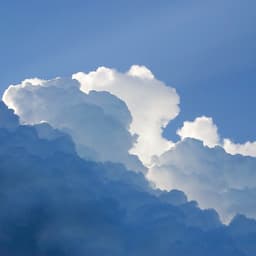 迪老师_男_12_纪录片-考古