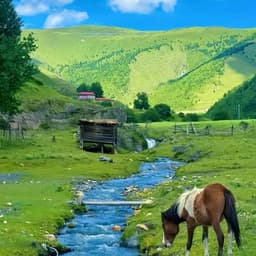 5.13一字肩上衣采访女