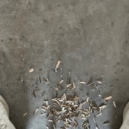 一直用的声音，