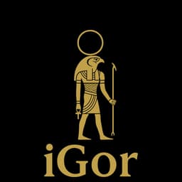 iGor