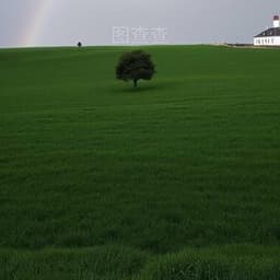 茶文化12.10-12.12