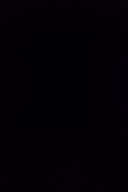 Percy Fernández alcalde