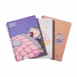 Cuadernos Estilo Ecuador (Voz femenina)