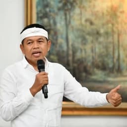 Dedi Mulyadi