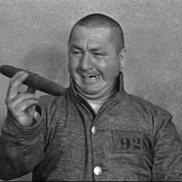 Curly Howard From The 3 Stooges