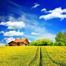 2.5   李俊丽    人间清醒叔