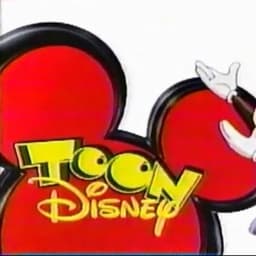 Toon Disney VO (2004-09)