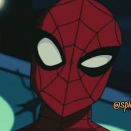 Spectacular Spider-Man