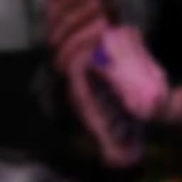 الوحش  المسالم