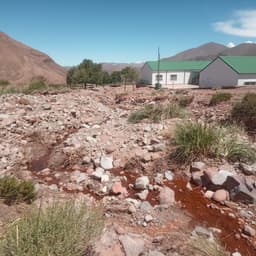 Cristina Fernández de Kirchner