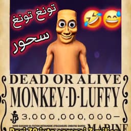 ضفدع تون سهور