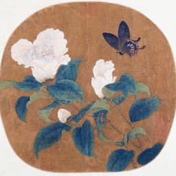 美国机场播音员