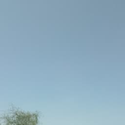 فهد بن جعموم