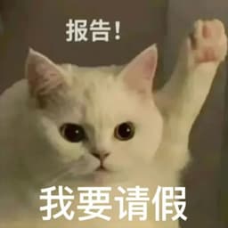 特妆薇薇直播0222