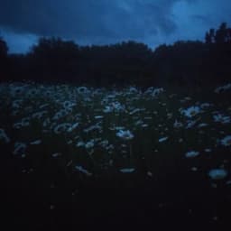 Te fuiste, y me quedé 