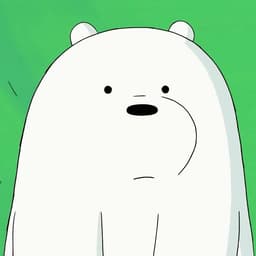 Ice bear