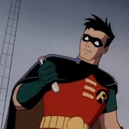 Robin (BTAS) (Orlando Viggiani)