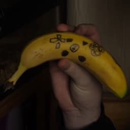 Nicktoons Digimon next bumper voice.