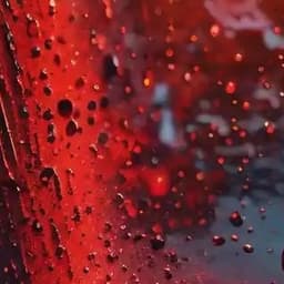 攻略小狗找好角度