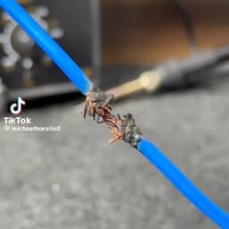 接线器（线中间烧了开头 - 修理电线 - 英语男）