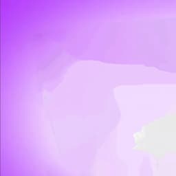 Lil Critters PBS/CP Announcer 