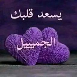 جميل كابتن