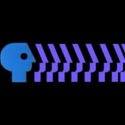 Superdog19's PBS P-Head