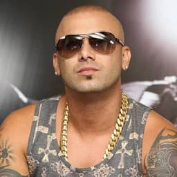 wisin