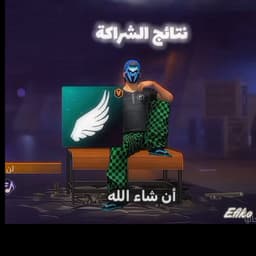 فلافيلو