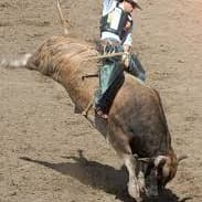  Comercial para Rodeio