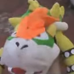 bowser madafaca. From Themariodimension