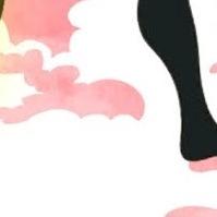 Fss