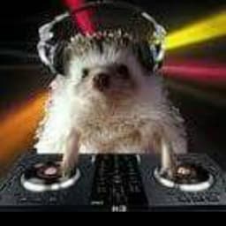 DJ COROTO