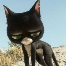 Mittens
