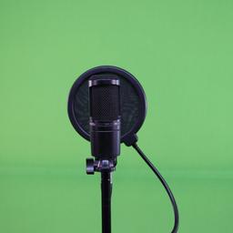 Interviewer