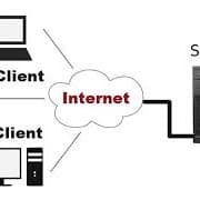 nova en british amused