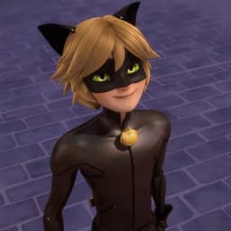 القط الأسود