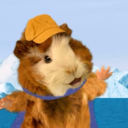 Linny (Wonder Pets: Save The Penguin)