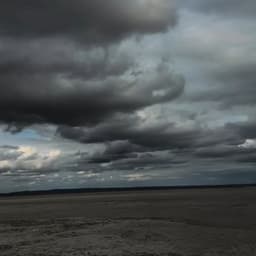 عير بعلي يلي يلي يلي يلي يلي يلي ...😂😂 