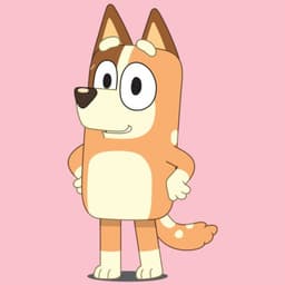 Chilli Heeler Latino