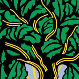 Houghton Mifflin Harcourt PBS Announcer 