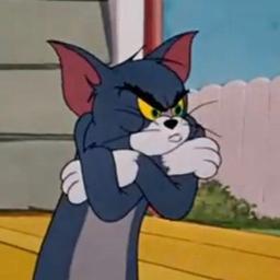 توم