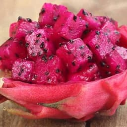 好茶馆12.21-12.23