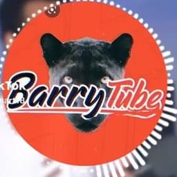 باري تيوب
