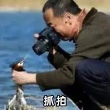 张鹏-1126-低压高