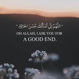 القران الكريم 