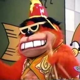 Bingo(from the banana splits show and movie)