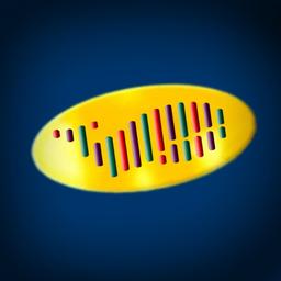 The Comedy Network Announcer (Male)