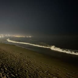 رودينا احمد