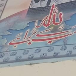 urdu energetic 